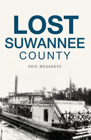 Cover of the book Lost Suwannee County by Matt Starman, Tim Stricker