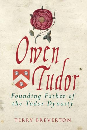 Cover of the book Owen Tudor by Paul Chrystal, Historic England