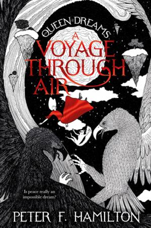 Book cover of A Voyage Through Air