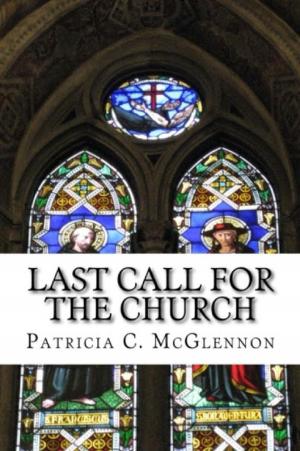Cover of the book Last Call for The Church by John Axelson
