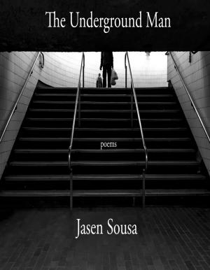Cover of the book The Underground Man by Martin Joseph Quinn