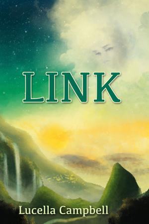 Cover of the book LINK by Jimmy Chua