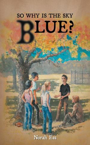 Book cover of So Why Is The Sky Blue?