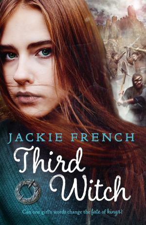 Book cover of Third Witch