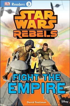 Cover of the book DK Readers L3: Star Wars Rebels Fight the Empire by Sue Unstead