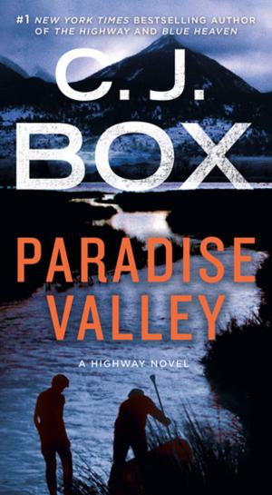 Cover of the book Paradise Valley by Arnauld Pontier