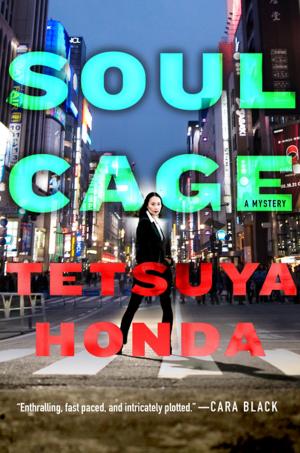 Cover of Soul Cage