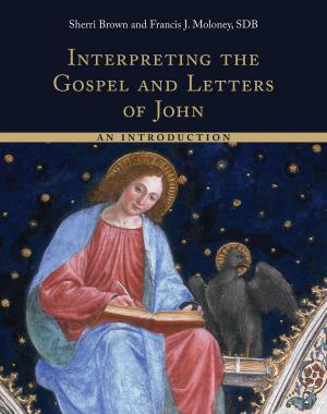 Book cover of Interpreting the Gospel and Letters of John