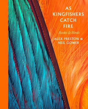 Cover of the book As Kingfishers Catch Fire by Steve Lowe, Alan McArthur
