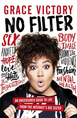 Cover of the book No Filter by Barbara Nadel