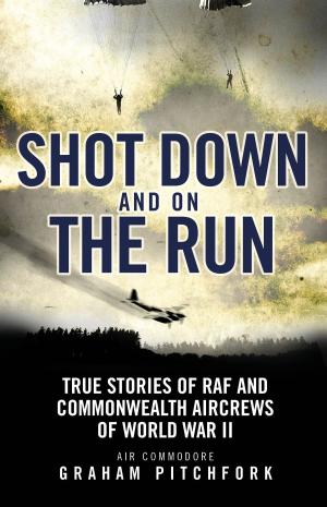 Cover of the book Shot Down and on the Run by Silvia Montiglio
