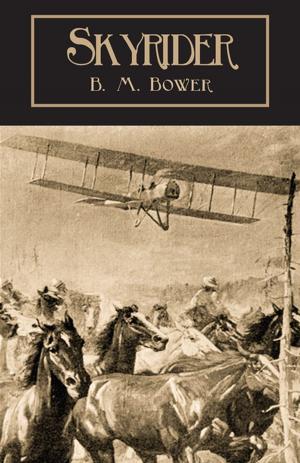 Cover of the book Skyrider by Helen Haiman Joseph