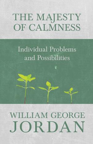 Book cover of The Majesty of Calmness - Individual Problems and Possibilities