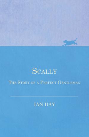 Book cover of Scally - The Story of a Perfect Gentleman