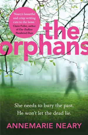 Cover of the book The Orphans by Shawn Riniti