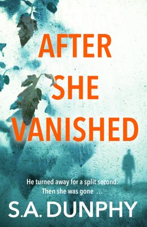 Cover of the book After She Vanished by Philip Nolan