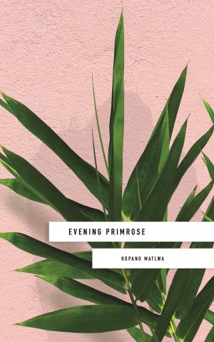 Cover of the book Evening Primrose: a heart-wrenching novel for our times by Siu-Fan Lee
