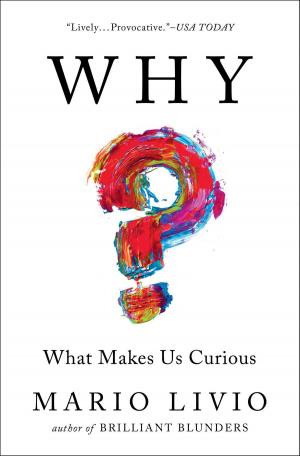 Cover of the book Why? by Andrew Pyper