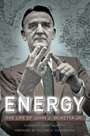 Cover of the book Energy by Camilla Fojas