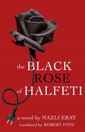Cover of the book The Black Rose of Halfeti by Richard Edward Martínez