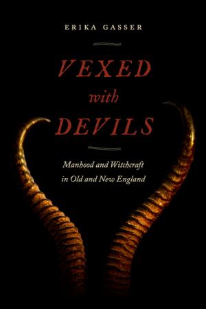 Cover of the book Vexed with Devils by D'Lane R. Compton, Amanda K. Baumle