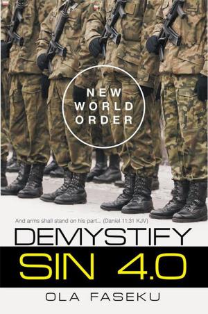 Cover of the book Demystify Sin 4.0 by Chamia LaRae Chambers