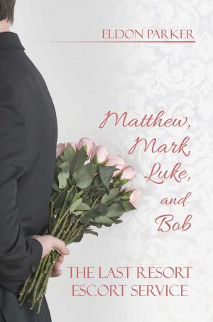 Cover of the book Matthew, Mark, Luke, and Bob by Zoe Hunter