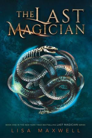 Cover of the book The Last Magician by R.L. Stine
