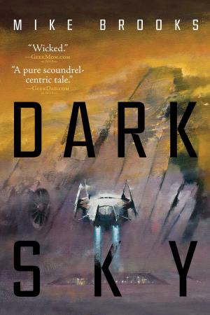 Cover of the book Dark Sky by Dee Hunter