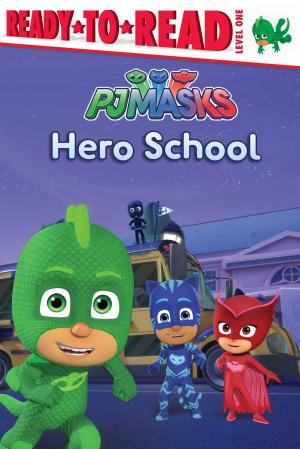 Cover of the book Hero School by Luke Sharpe
