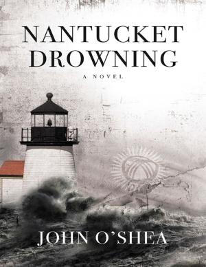 Cover of the book Nantucket Drowning: A Novel by Eillyne Seow