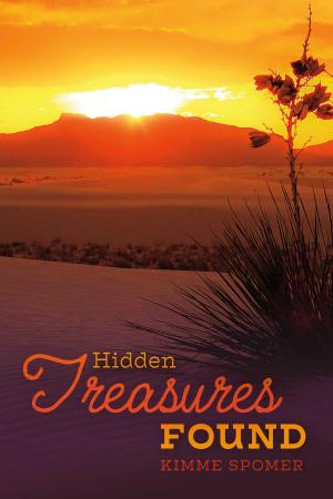 Cover of the book Hidden Treasures Found by Captiva Elizabetha