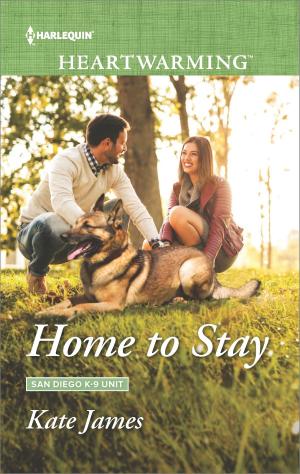 Cover of the book Home to Stay by Joanne Rock, Kristi Gold, Katherine Garbera