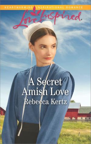 Cover of the book A Secret Amish Love by Virginia McCullough