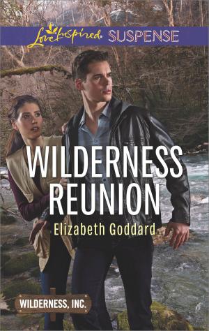 Cover of the book Wilderness Reunion by Bronwyn Scott
