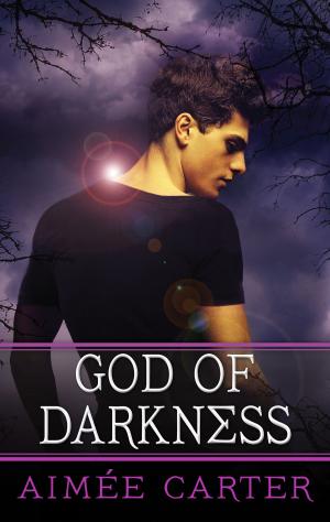 Cover of the book God of Darkness by Donna Hill