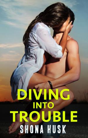 Cover of the book Diving Into Trouble by Renee Dahlia