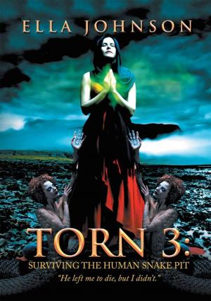 Cover of the book Torn 3: Surviving the Human Snake Pit by Darius M. John
