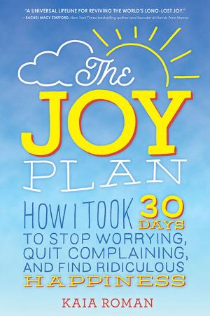 Cover of the book The Joy Plan by Wes Burgess, 