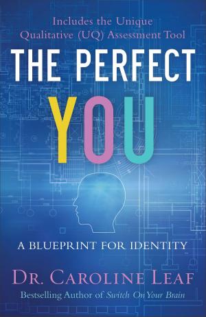 Cover of the book The Perfect You by Dr. Linda Mintle