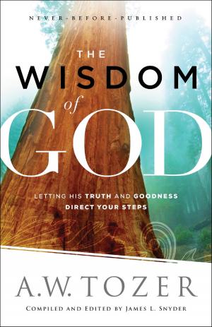 Cover of the book The Wisdom of God by Mark Batterson, Parker Batterson