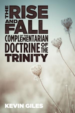 Cover of The Rise and Fall of the Complementarian Doctrine of the Trinity