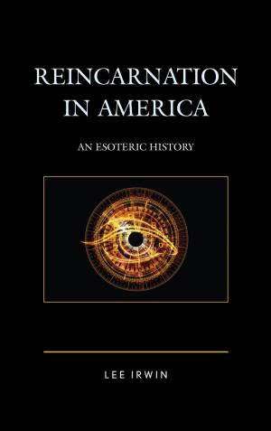 Cover of the book Reincarnation in America by Bruce Hozeski