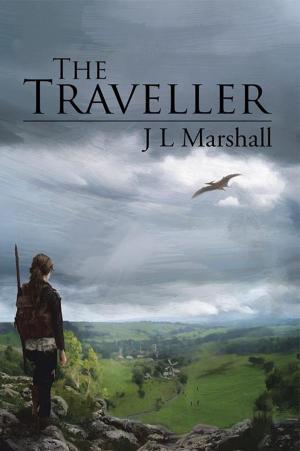 Cover of the book The Traveller by Jadyn Patrilita, Petimara Ualesi