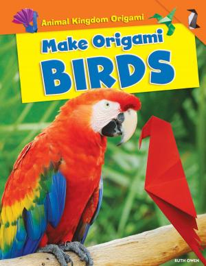 Cover of the book Make Origami Birds by Natalie Chomet