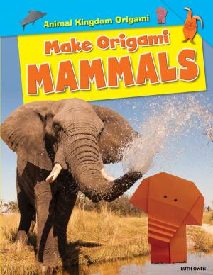Cover of the book Make Origami Mammals by Barbara Gottfried Hollander