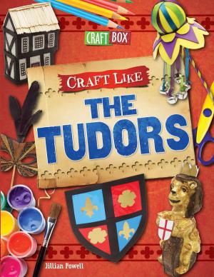 Book cover of Craft Like the Tudors