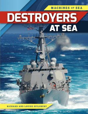 Cover of the book Destroyers at Sea by Don Rauf