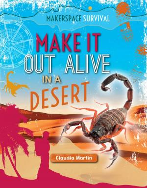 Cover of the book Make It Out Alive in a Desert by Bridget Heos