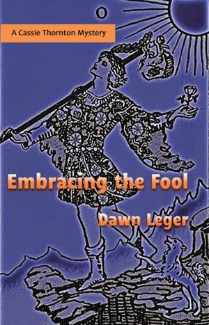 Cover of the book Embracing The Fool by CJ Kross
